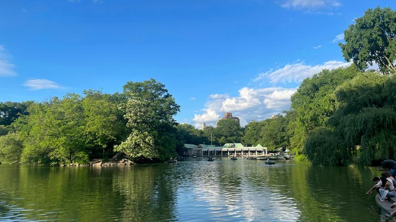 The Central Park Lake in summer, green trees under a blue sky off Central Park West