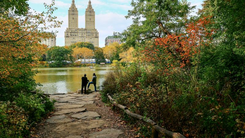 The San Remo’s twin towers on Central Park West, seen across the Lake in autumn